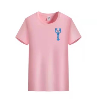 Summer Short Sleeve Childrens Silk T Shirt With Letter Plane Pattern Pink  Bottoming Blouse For Boys And Girls From Kidclother__, $23.47